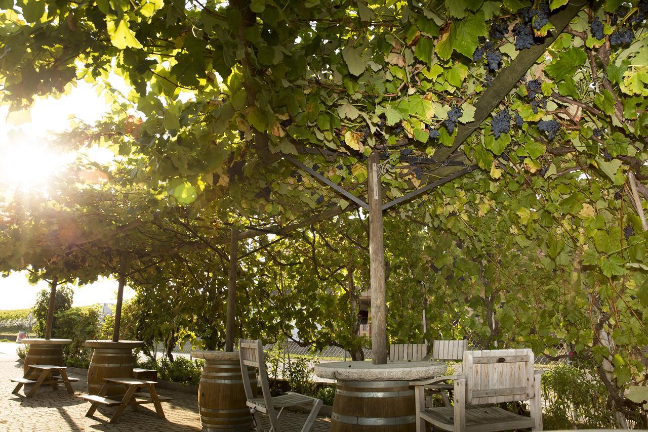 Cave Du Treyblanc Acomodação com café da manhã Luins Exterior foto