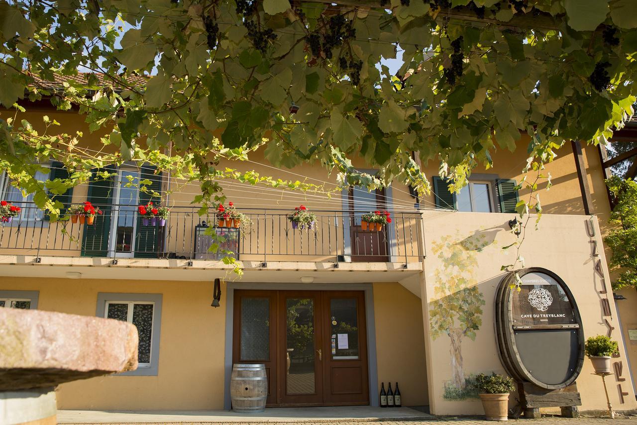 Cave Du Treyblanc Acomodação com café da manhã Luins Exterior foto