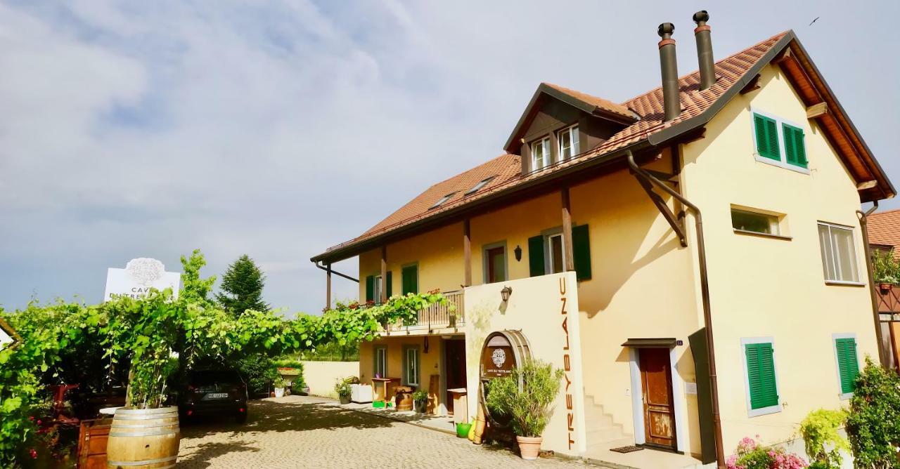 Cave Du Treyblanc Acomodação com café da manhã Luins Exterior foto